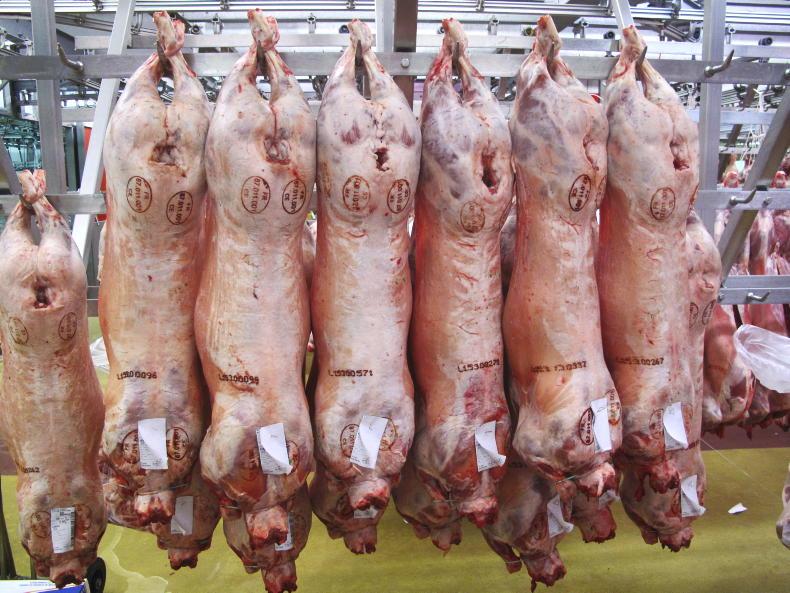 Sheep price update: ICM holds base at €8/kg but others drop below