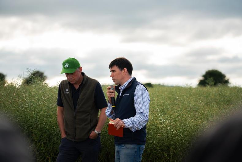 Tillage Podcast: harvest, oats, oilseed rape and the straw budget
