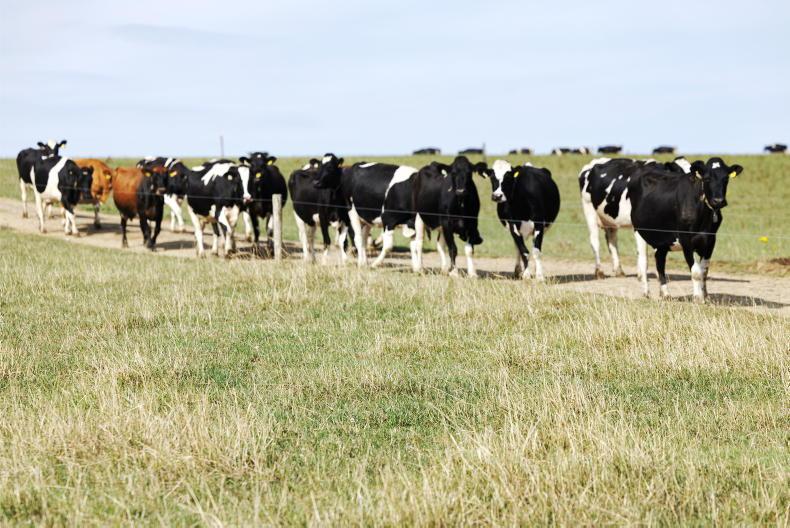 The Grass Week: drought still persisting in south and east