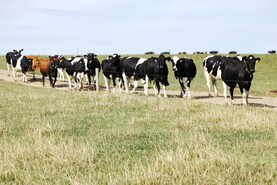 The Grass Week: drought still persisting in south and east