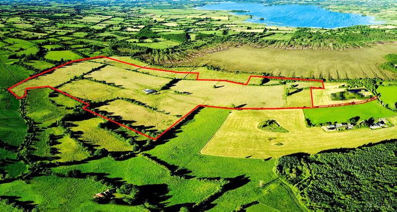 Battle for Lake County farm at auction