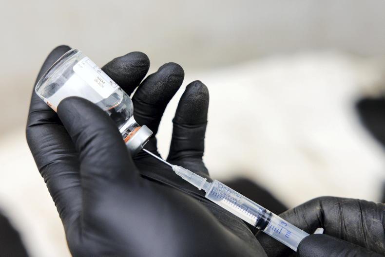 Over a dozen vet med recalls issued in 2025 to protect animal or human health