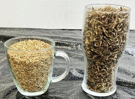 Test your weeds for herbicide resistance for free