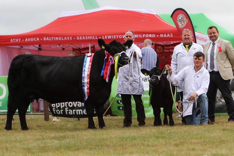 Lisduff completes the double in Tullamore