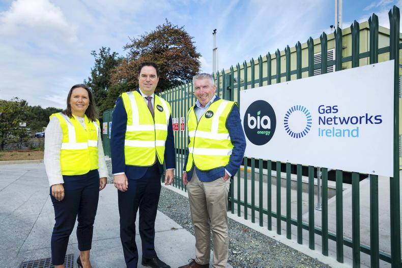 Seven years on, first AD plant connects to grid