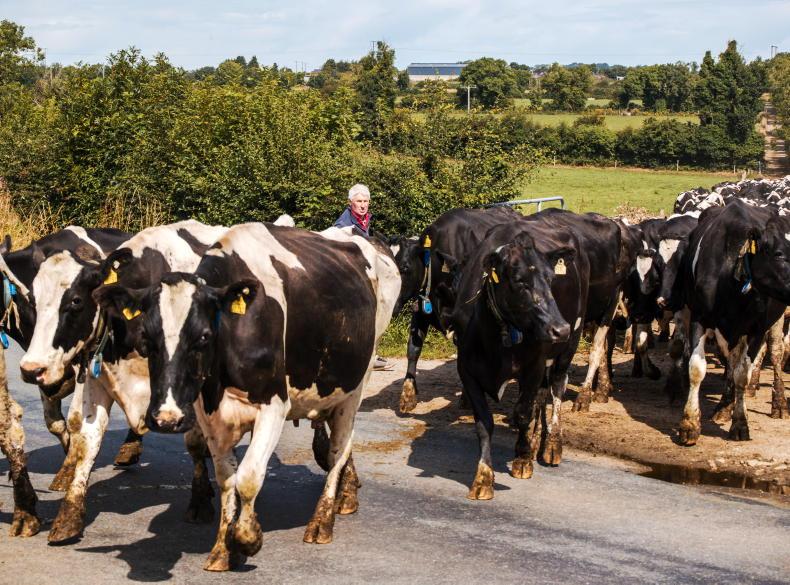 Agri jobs: assistant manager wanted for 500-cow dairy farm in Meath
