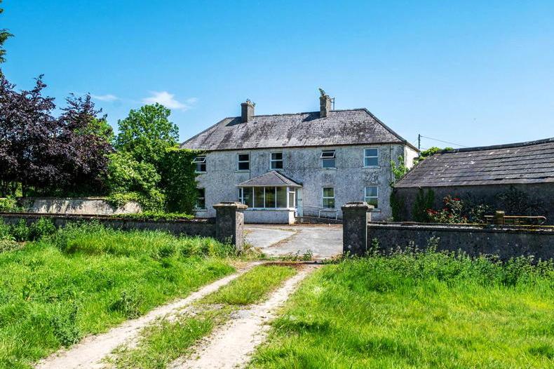 203ac Offaly farm with tillage, grazing and forestry seeks €2m