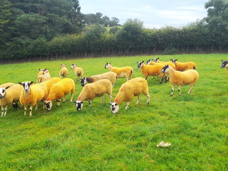 Highs and lows in one week of farming
