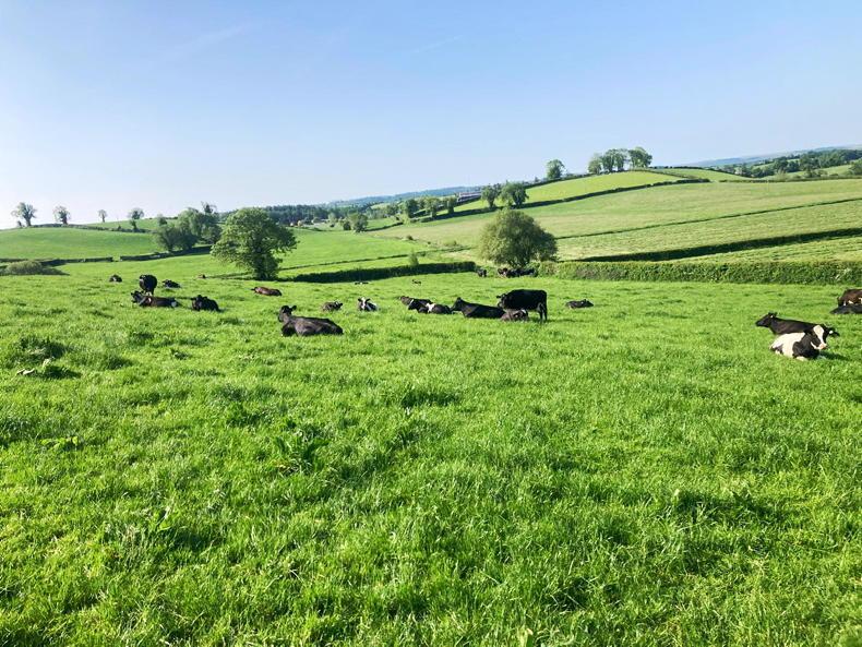 Succession: what’s the big deal farm families?