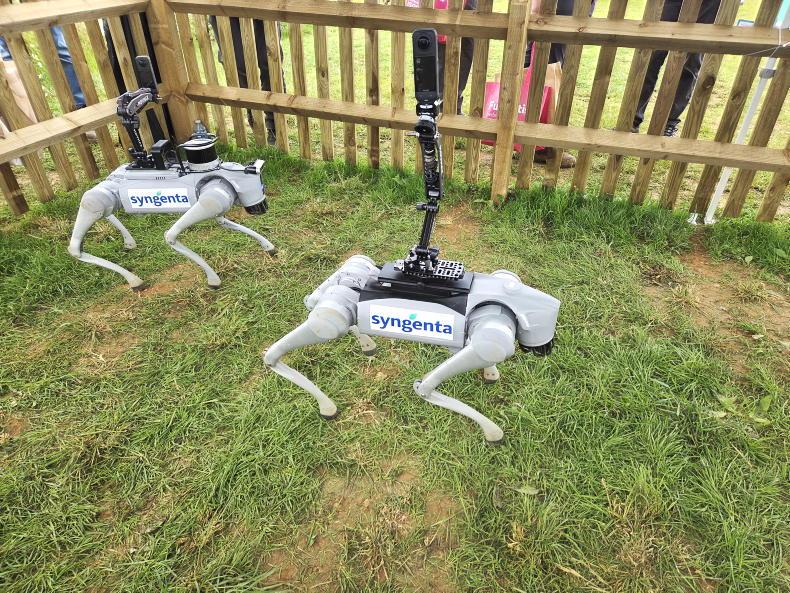 Tillage Podcast: seed production in the US and robot 'dogs' to walk crops