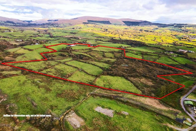 Farmland now averages €13,528 per acre