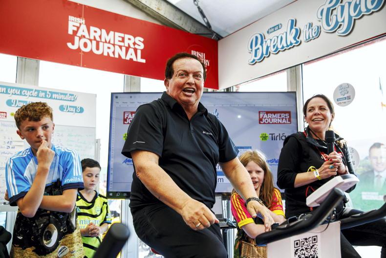 Ploughing 2026: what first-time visitors should bring and expect