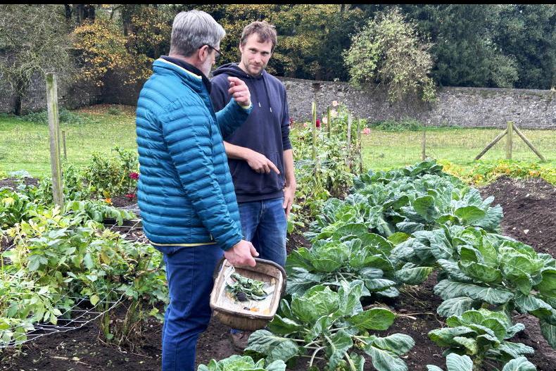 Colebrooke Walled Garden: nature-based therapy helps people grow