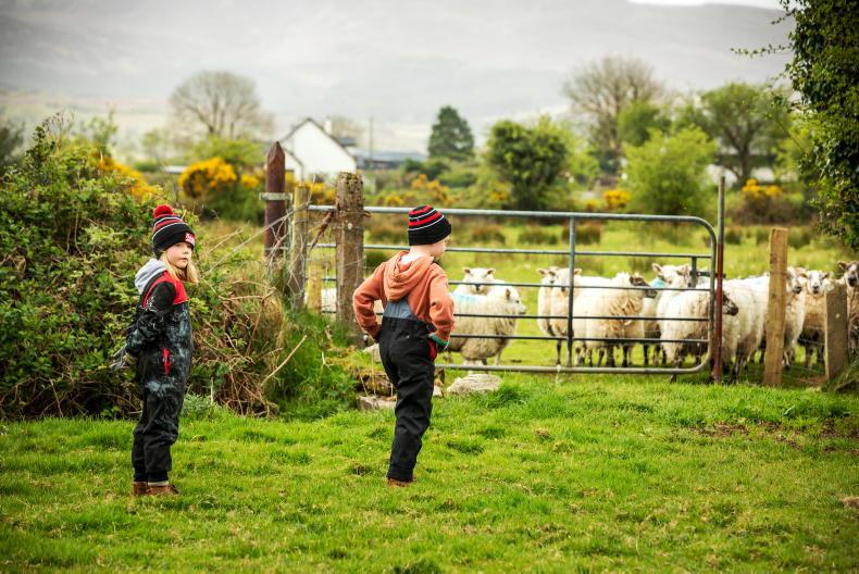 Teagasc to host five events during Generational Renewal Week