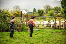 Teagasc to host five events during Generational Renewal Week