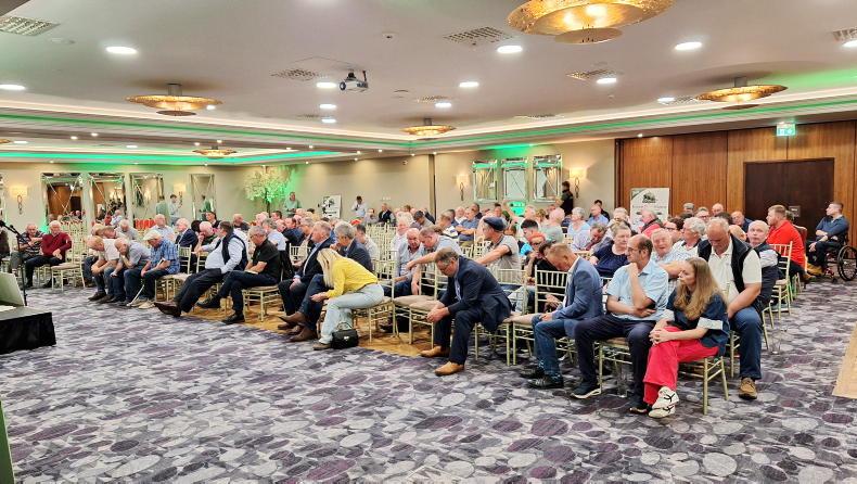Five proposals from Independent Ireland live exporters meeting