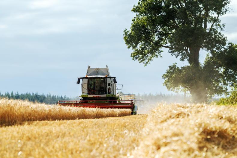 Look to local tillage when filling feed deficits, IGGG advises