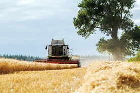 Look to local tillage when filling feed deficits, IGGG advises