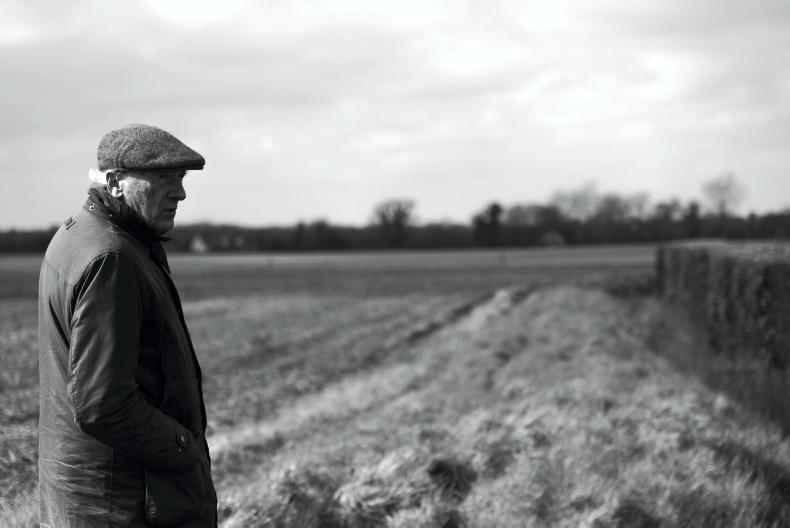 Home Farm: second-cut silage ambitions