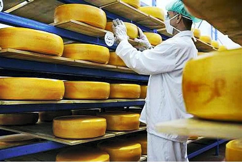 Lactalis buys UK dairy business in €1.15bn deal 