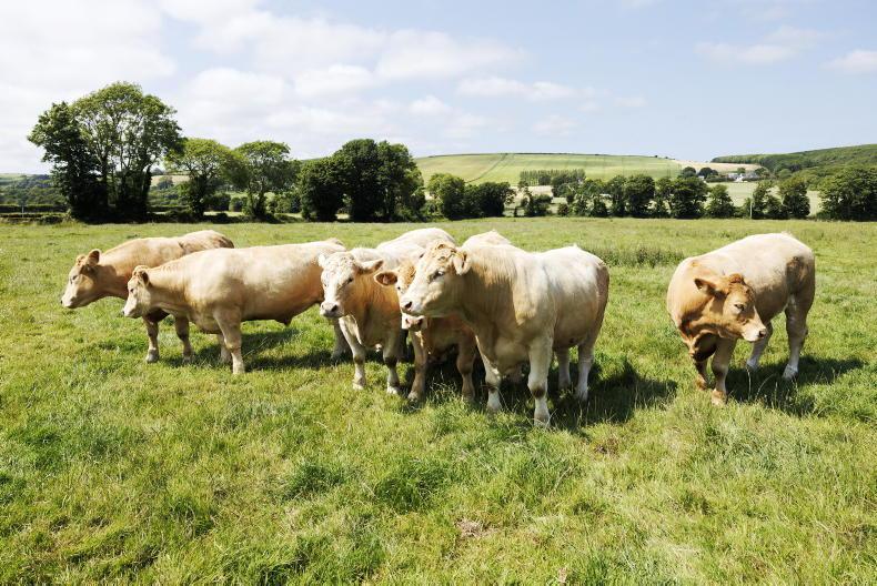 Factory prices steady at start of the week