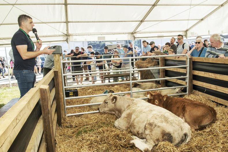 Teagasc to reduce Ploughing 2026 spend over budget cuts
