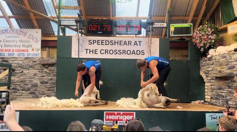 Watch: Ivan Scott takes €1,000 top prize at Lisryan speed shear