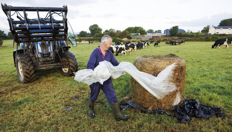 Drought is income issue as well as fodder problem - ICSA