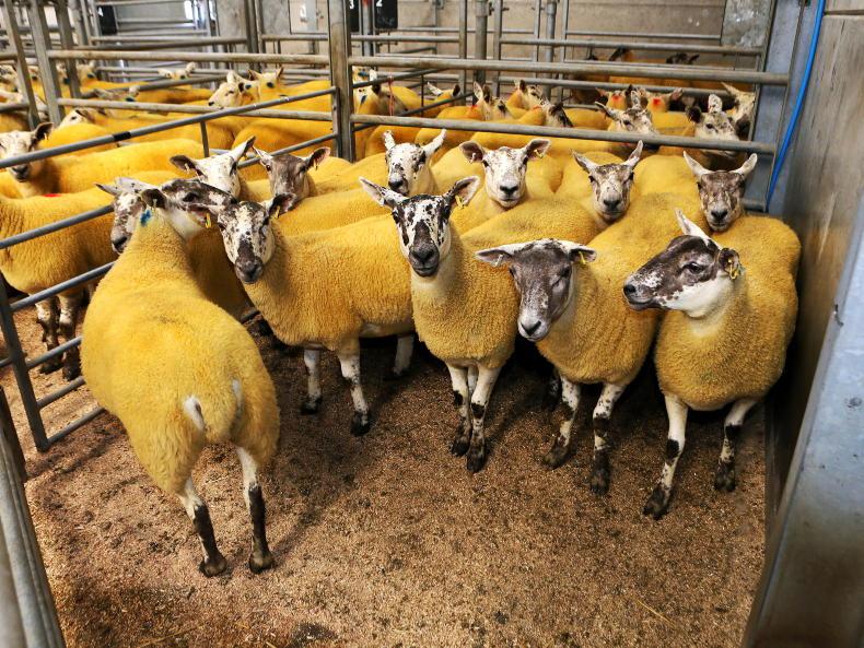 Northern Ireland diary of farming events