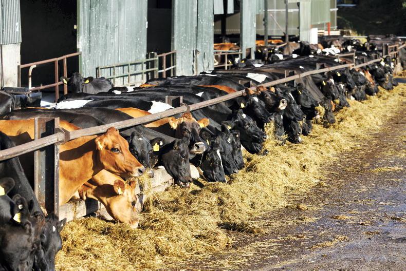 Almost 40% of farms short of fodder - Teagasc