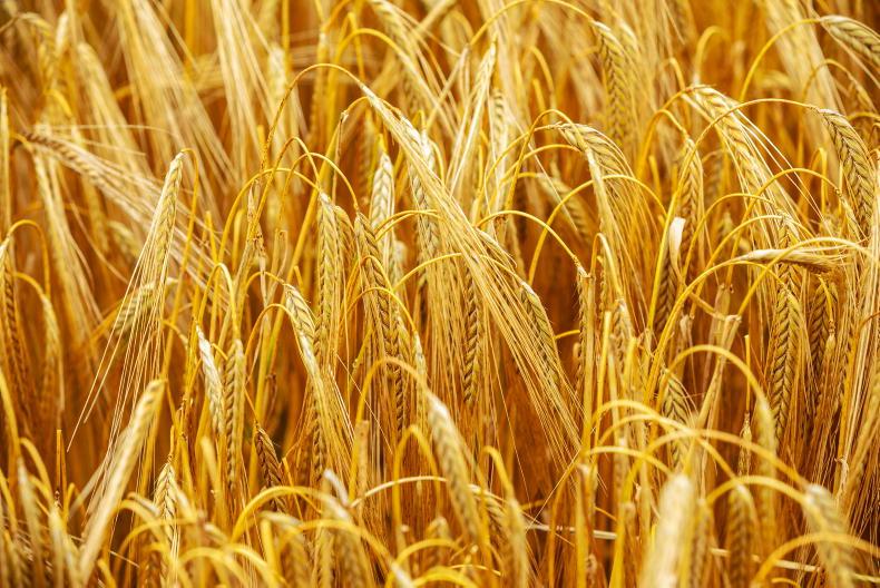 Editorial: fundamental challenges facing Ireland’s tillage sector