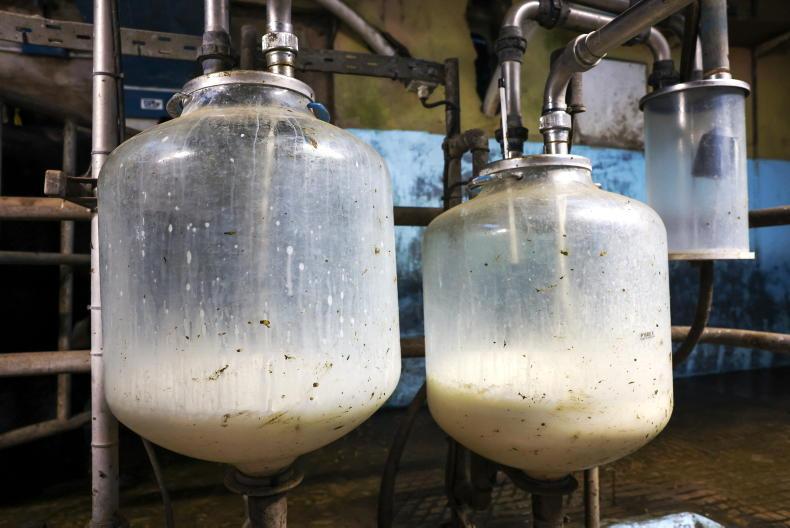 Milk volumes drying up in the drought