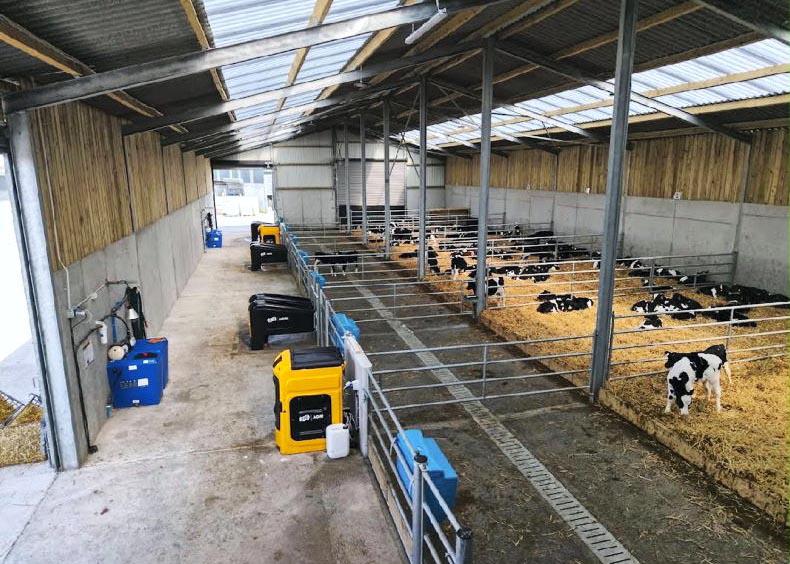 Watch: new 200-calf shed ticks the box for Tipperary farm