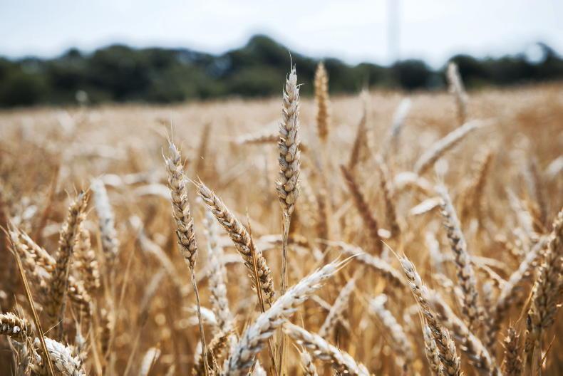 Higher food prices already 'locked in' and will be 'most visible' next summer