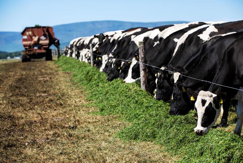 Co-ops announce July milk prices and drought support