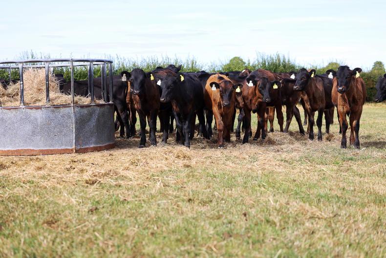 £65m drought support for English farmers