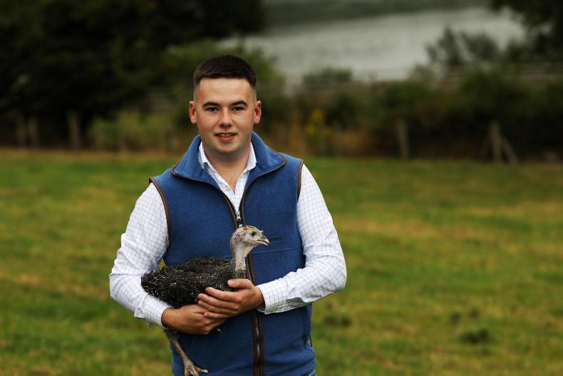 My Farming Week: Pierce McKevitt, Omeath, Co. Louth