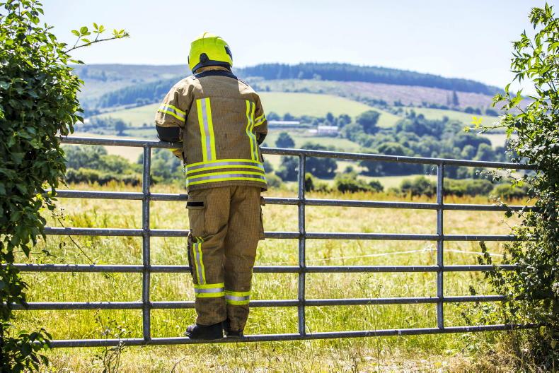 Fire brigades tackle over 2,300 forest, bog and grass fires in 2025