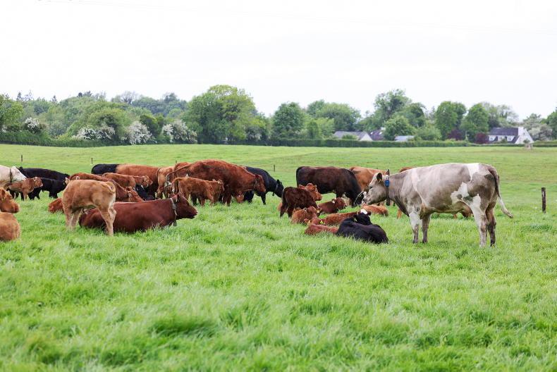 Prices hold as throughput increases