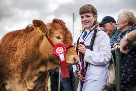 In pictures: at the 83rd Virginia Show 