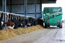 Waiting until Budget 2027 for drought supports is 'too late' - ICSA