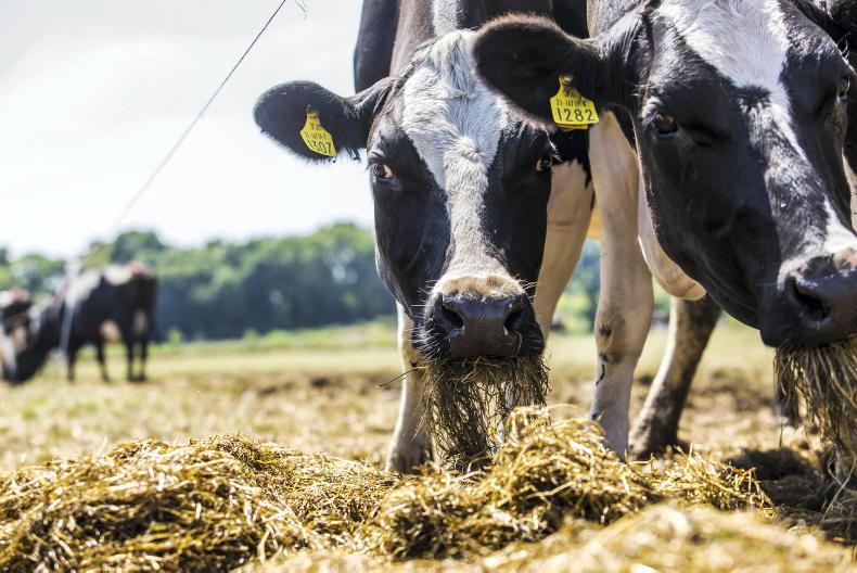 National fodder committee to meet on Friday as drought pressure mounts