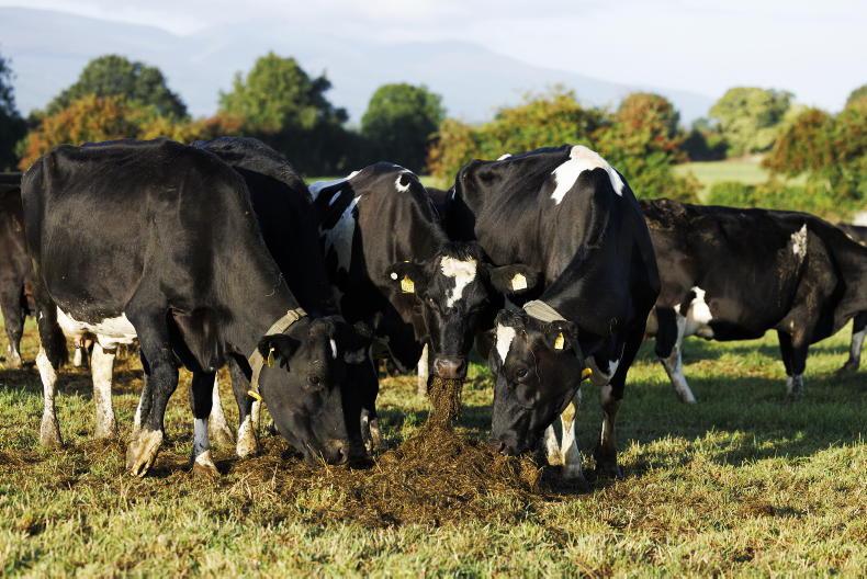 The Grass Week: heavy supplementation still required for many herds