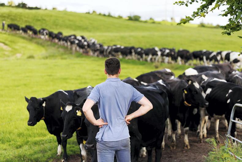 Agricultural science graduates of 2026 set out hopes and ambitions