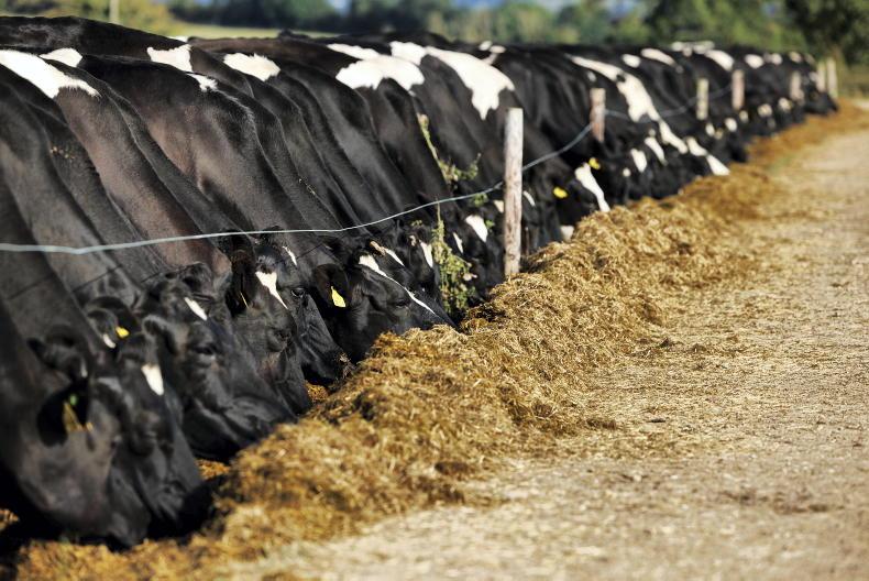 Stretch fodder reserves to avoid empty pits this January - Teagasc