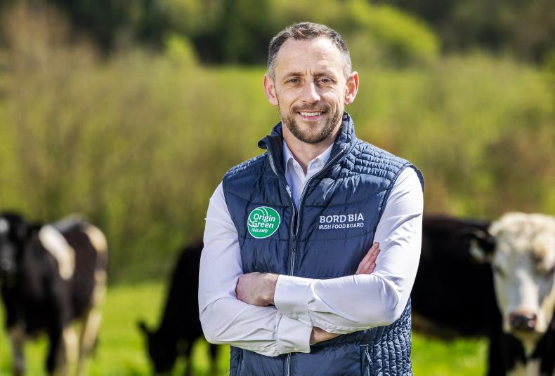 Supporting the future in sheep                 