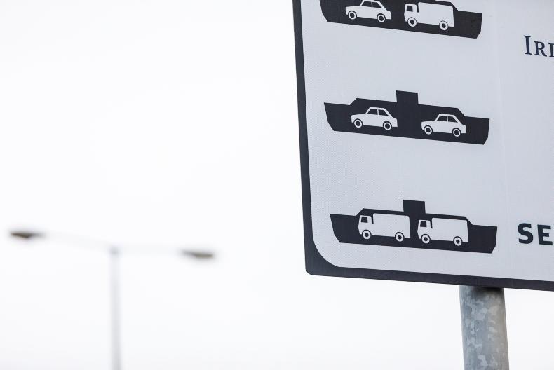 Irish Ferries confirms it will continue transport of live animals 