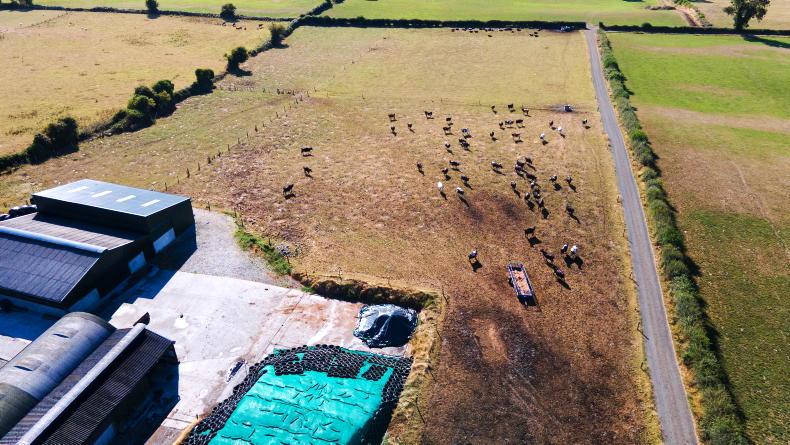 'Screamingly obvious' there's already a fodder shortage - ICMSA