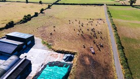 'Screamingly obvious' there's already a fodder shortage - ICMSA