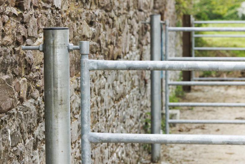 Almost 900 women receive over €12m in TAMS grants